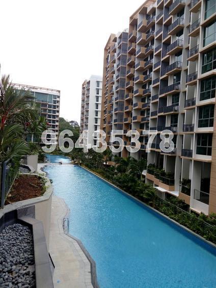 The Glades (D16), Condominium #136363772